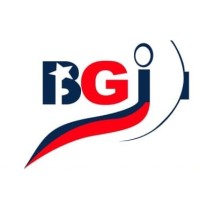 BGI Construction CMR logo - Similar company to Bgi Constructions