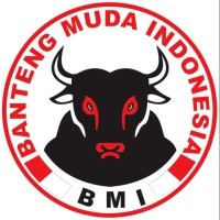 Banteng Muda Indonesia logo - Similar company to Ansena