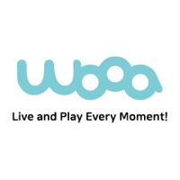 Wooa logo - Similar company to Bsg.In, Private High End