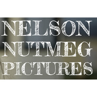 Nelson Nutmeg Pictures logo - Similar company to Magic Frame Animation