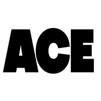 ACE Programme logo - Similar company to Mcc Foundation