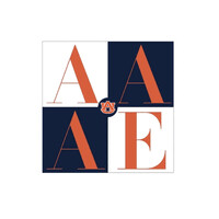 American Association of Airport Executives - Auburn Chapter logo - Similar company to American Association Of Airport Executives Sooner Chapter