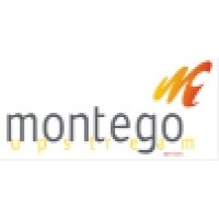 Montego Holdings logo - Similar company to Projectiles Tech Hub