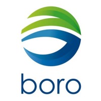 Boro logo - Similar company to El Grupo Roa