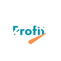 Profit logo - Similar company to Prodevfy