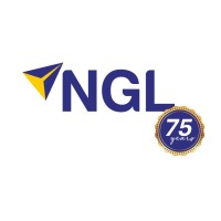 NEW GLOBE LOGISTIK LLP. logo - Similar company to Kin Lines And Logistics