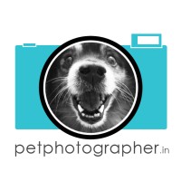 Pet Photographer logo - Similar company to Randall: Robert Randall Productions