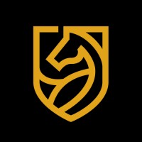 Martingale Insights