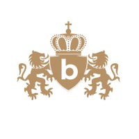 Bohman Group s.r.o. logo - Similar company to Nanjing Alton Technology Co.,Ltd