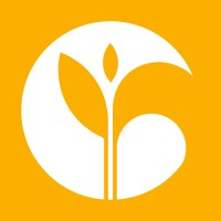 Three Leaf Studio