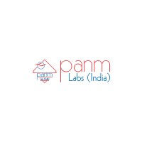 Panm Labs India logo - Similar company to Panm Labs