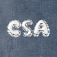 UBC Chinese Students' Association logo - Similar company to Ubccua