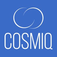 Cosmiq IT Solutions Ltd logo - Similar company to Bion Consulting