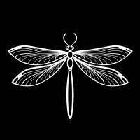 IMAGO GROUP Luxury Packaging logo - Similar company to Imago Group