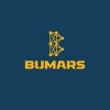 BuMarS AI logo - Similar company to Awacash - Powering Up Banking Experience For African Creators & Freelancers.