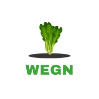 Wegn logo - Similar company to Dash Dynamic Pvt Ltd