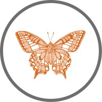 Butterfly Effect Studio (Pty) Ltd. logo - Similar company to Aether Digital Pvt. Ltd.