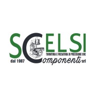 SCELSI COMPONENTI S.R.L. logo - Similar company to Naikegroup Sl
