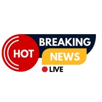 Rosenews Media logo - Similar company to Directfrombrand.Com