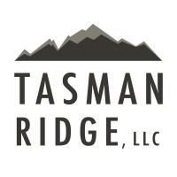 Tasman Ridge LLC logo - Similar company to Raising A Ceo