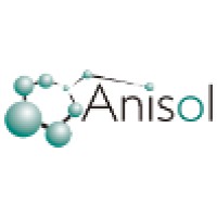 Anisol Equipos logo - Similar company to Anisol