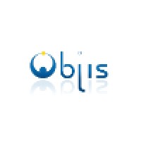 OBJIS logo - Similar company to It Services & Solutions