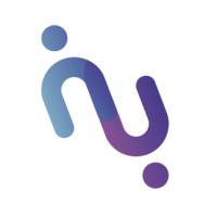 Nu-Insight logo - Similar company to Practically.Io
