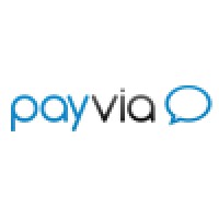 payvia logo - Similar company to Bidz.Com