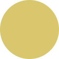 rheingold Institut logo - Similar company to Phaydon | Research+Consulting