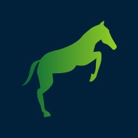 Sanni Saarijaervi logo - Similar company to 4Mindhealth
