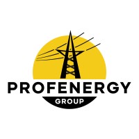 PROFENERGY GROUP LLC logo - Similar company to Space Studio Llc