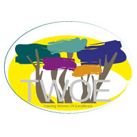 Training Women of Excellence logo - Similar company to The Retrade Project