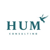 Hum Consulting logo - Similar company to Hum Consulting (India)