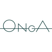 ONGA Boutique Lodge logo - Similar company to Ringstad Resort