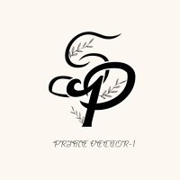 Prime Vector-1 logo - Similar company to Transformer Technologies