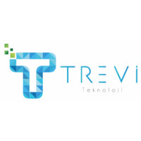 Trevi Teknoloji ve Danışmanlık logo - Similar company to Erem Teknoloji