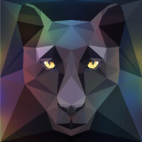 Panther Lending logo - Similar company to Derividoc
