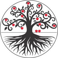 Root2Ray logo - Similar company to Single Key Advisory
