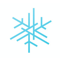 Snowing logo - Similar company to Torrential Data Solutions, Inc.
