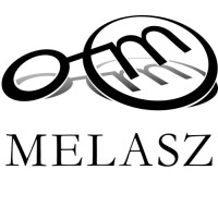 Magyar Elektronikus Aláírás Szövetség logo - Similar company to Woa Digital