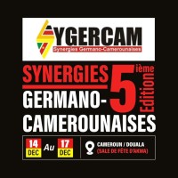 SYGERCAM logo - Similar company to Sci Zeideal