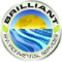 Brilliant Environmental Services, Llc