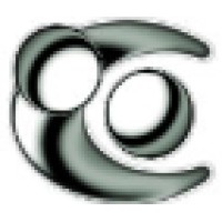 Child Welfare Consultancy Services logo - Similar company to Thrive Nonprofit Solutions