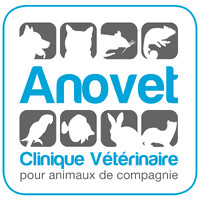ANOVET logo - Similar company to Hs Cardiology