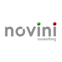 Novini Consulting, Lda. logo - Similar company to Flowinn