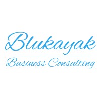 Blukayak Business Consulting logo - Similar company to Plumbazar