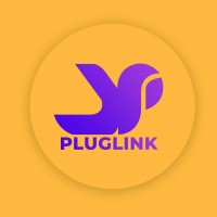PlugLinkNG logo - Similar company to Chidinma Ofoegbu