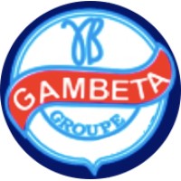 Gambeta Groupe Limited logo - Similar company to Flowbyte Electronic Labs