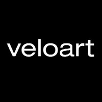 Veloart Sp. z o.o. logo - Similar company to D-Boats