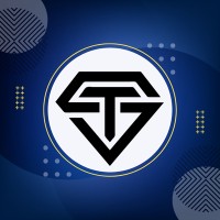 Technosoft Solution logo - Similar company to Huriyasoft